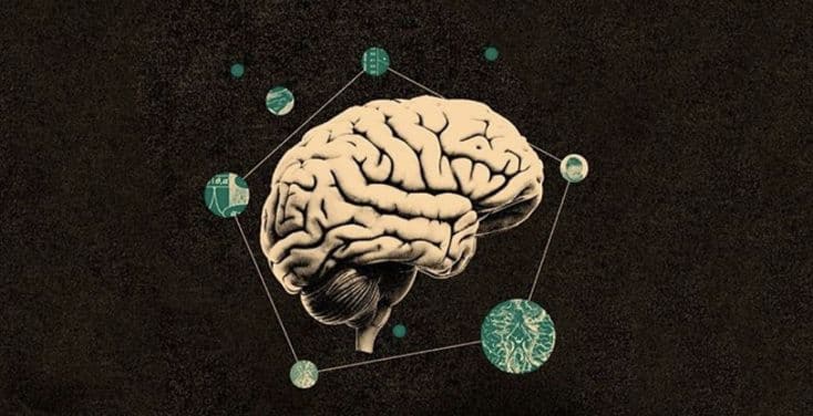 Understanding Neural Networks