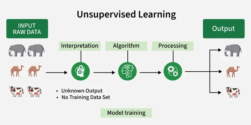 Unsupervised Machine Learning: Finding Hidden Patterns in Data